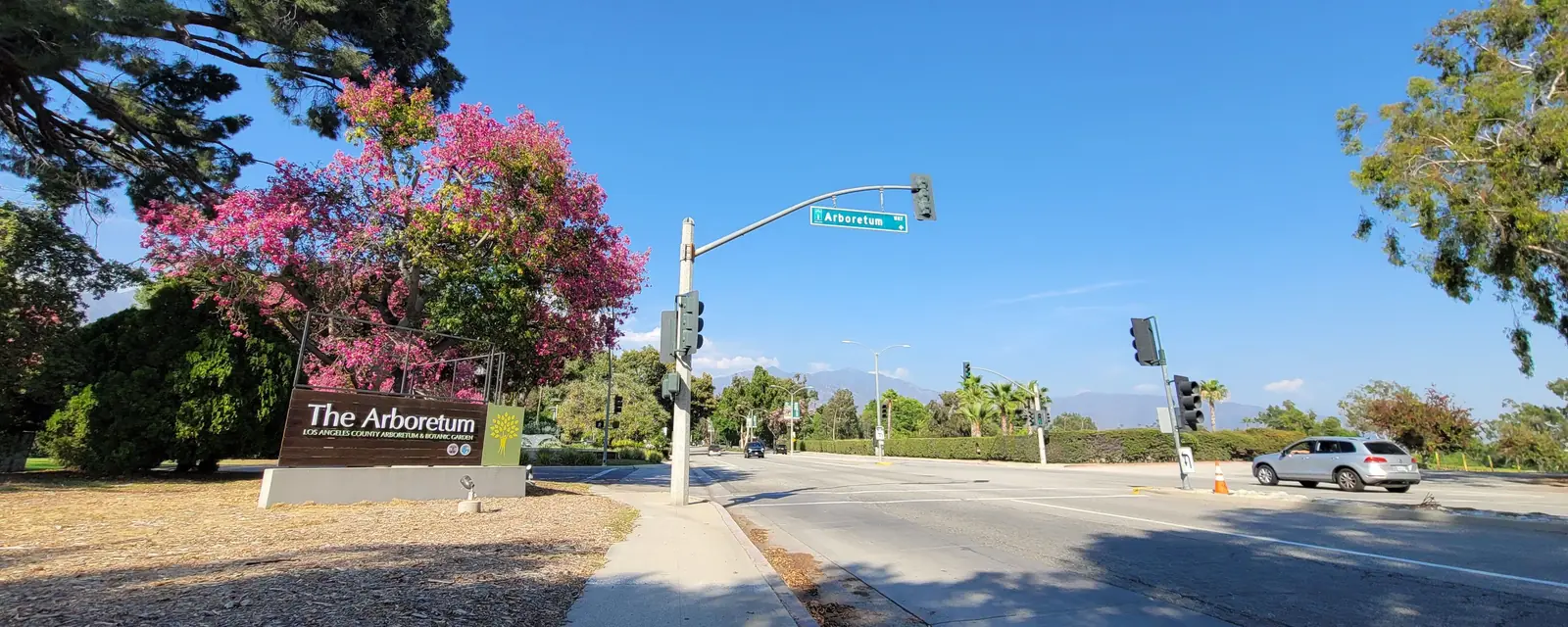 The LA County Arboretum sign in Arcadia, under a pink flowering tree